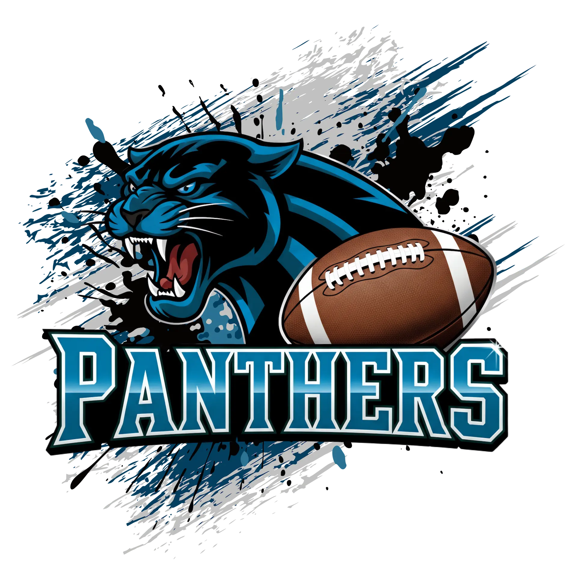 Panthers Football Team Collection