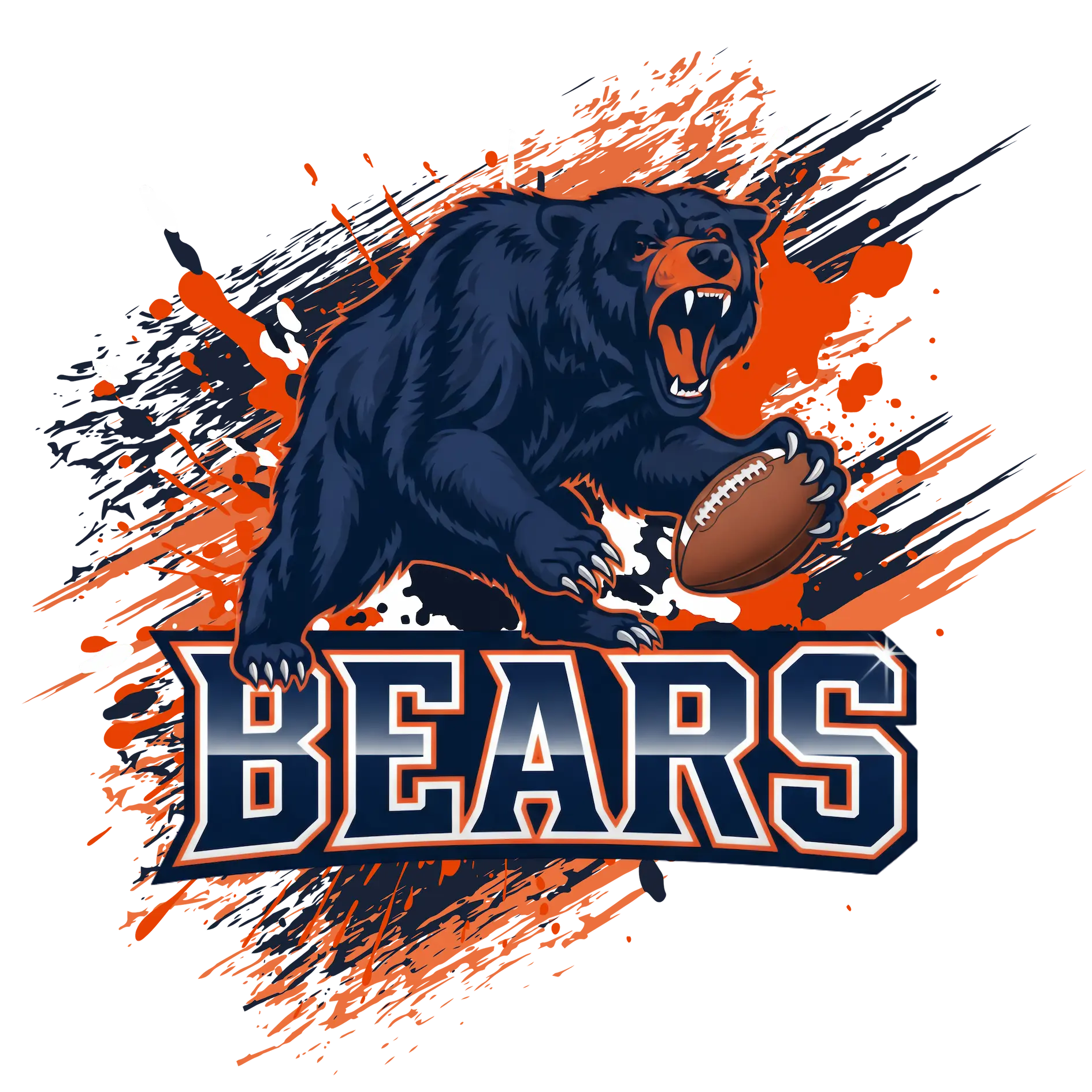 Bears Football Team Collection